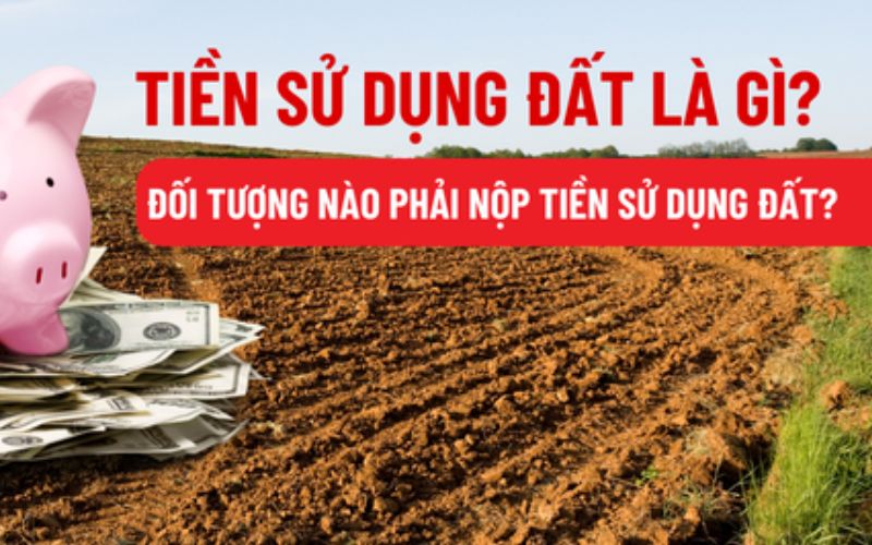 Tiền sử dụng đất ở TP.HCM